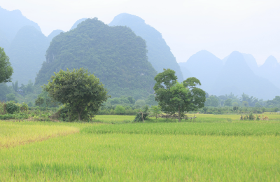 sud et paysages karstiques, Chine