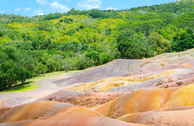 L'Intérieur : hauts plateaux, thé et parcs nationaux, Île Maurice