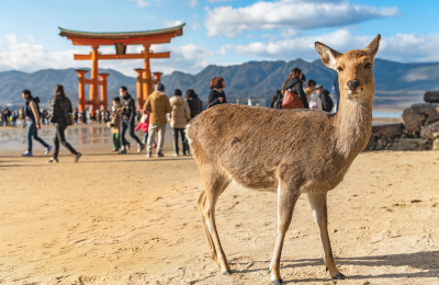 Hiroshima & mer intérieure (Chūgoku), Japon