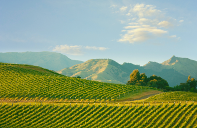 Marlborough & Kaikōura, Nouvelle-Zélande