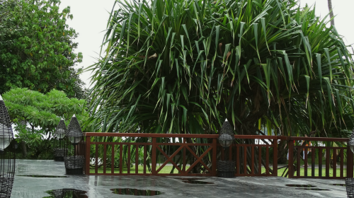 Guesthouse aux Seychelles