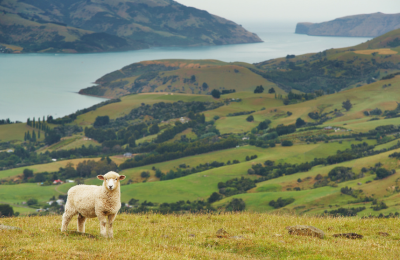Destination Nouvelle-Zélande