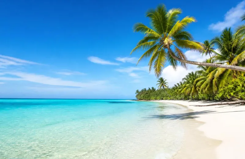 Plage tropicale et lagon turquoise, Guadeloupe