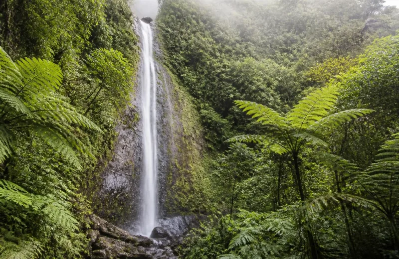 Parc national et Soufrière, Guadeloupe
