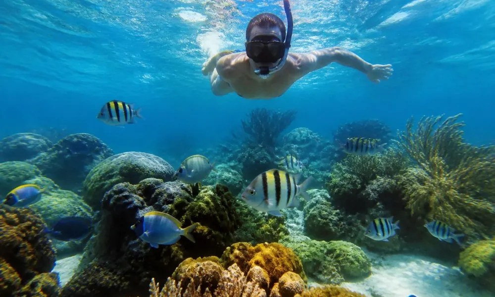 Voyageur solo en Guadeloupe