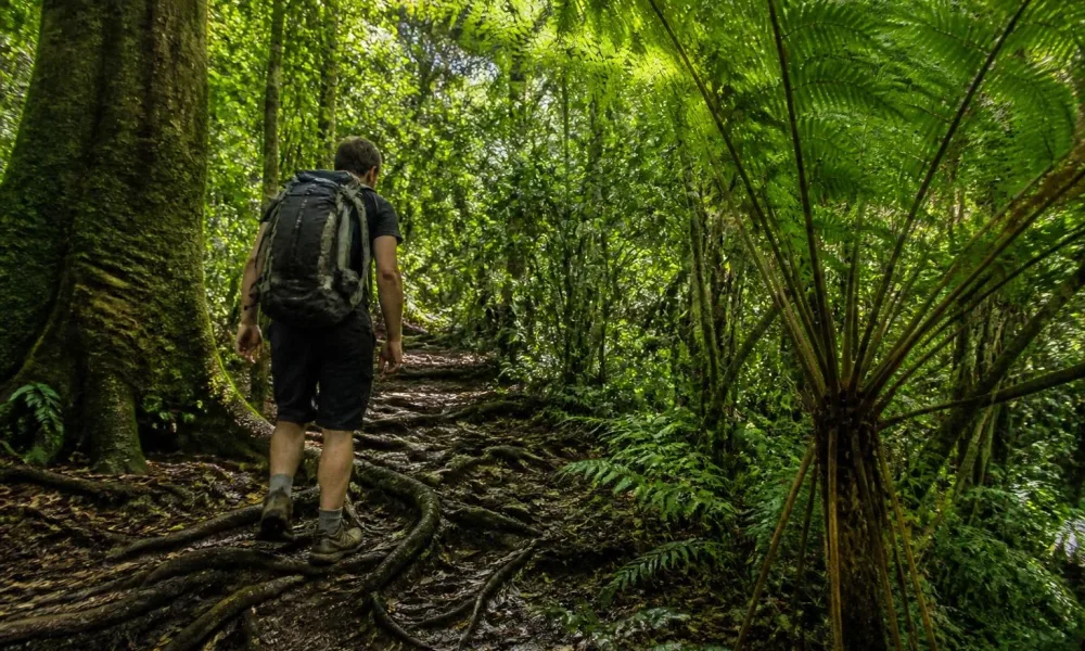 Backpacker en Guadeloupe