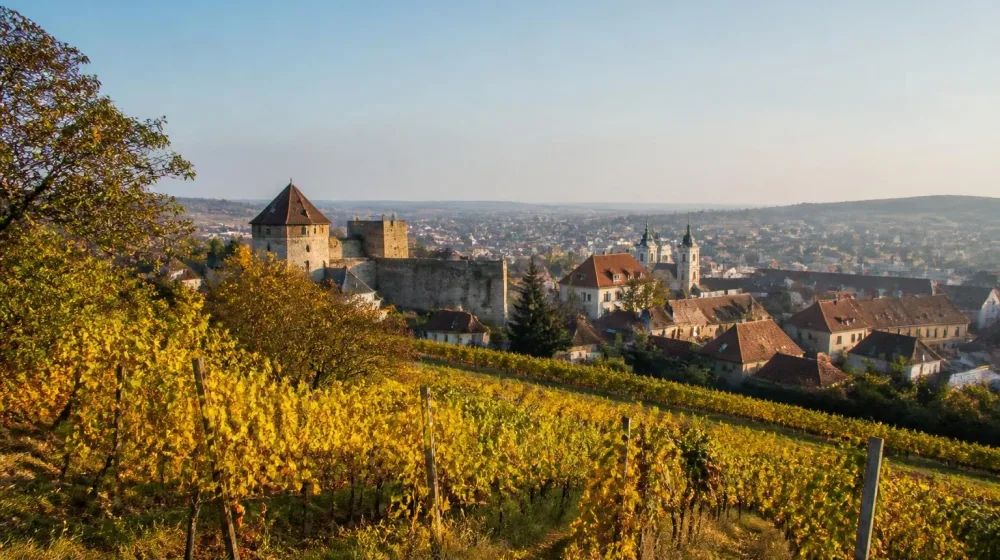 Pension et maison d’hôtes en Hongrie